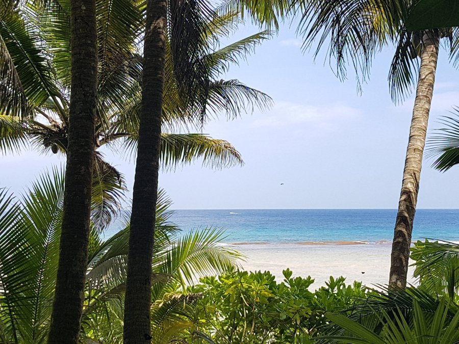 20180630_113603.jpg