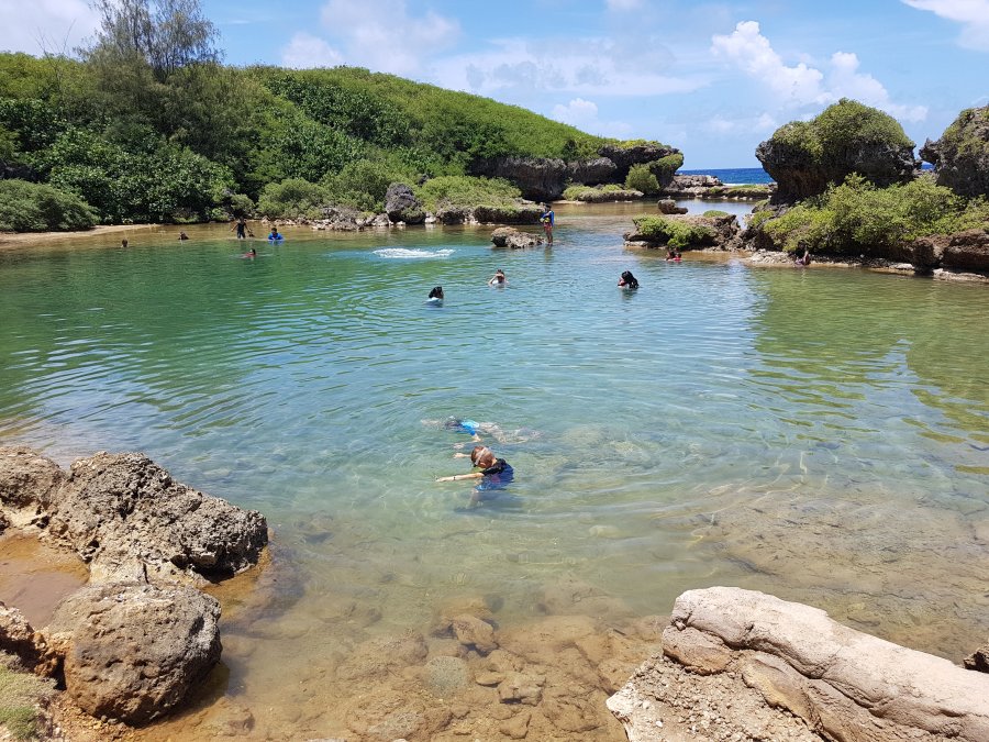 20180701_125627.jpg