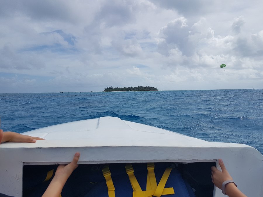 20180703_094637.jpg