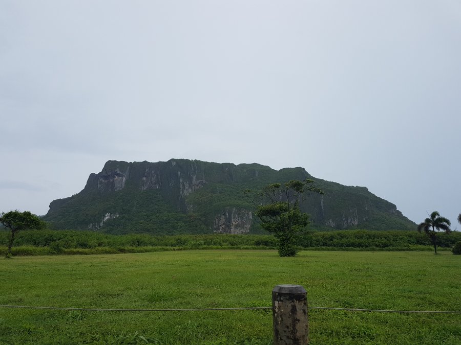 20180704_121706.jpg