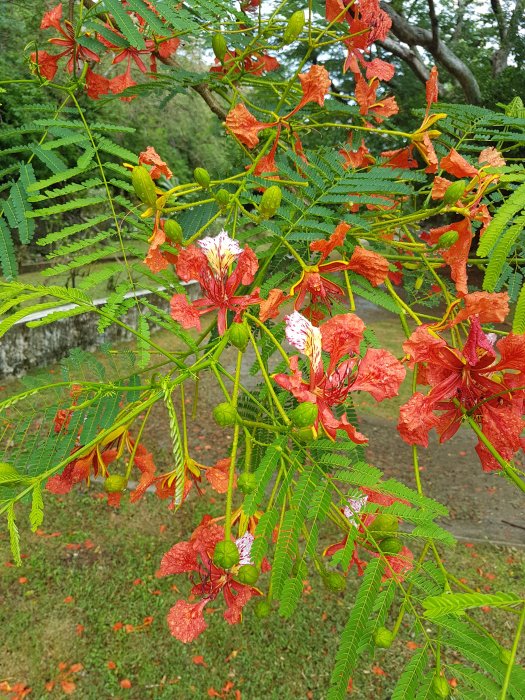 20180704_130207.jpg
