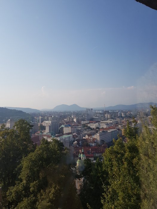 20180807_180551.jpg