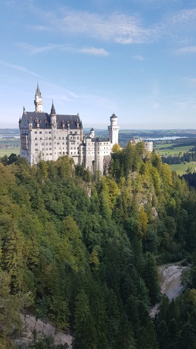 20180910_105331.jpg