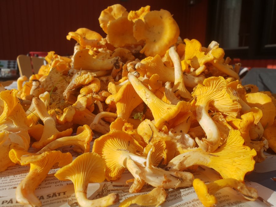 20180915_165807.jpg