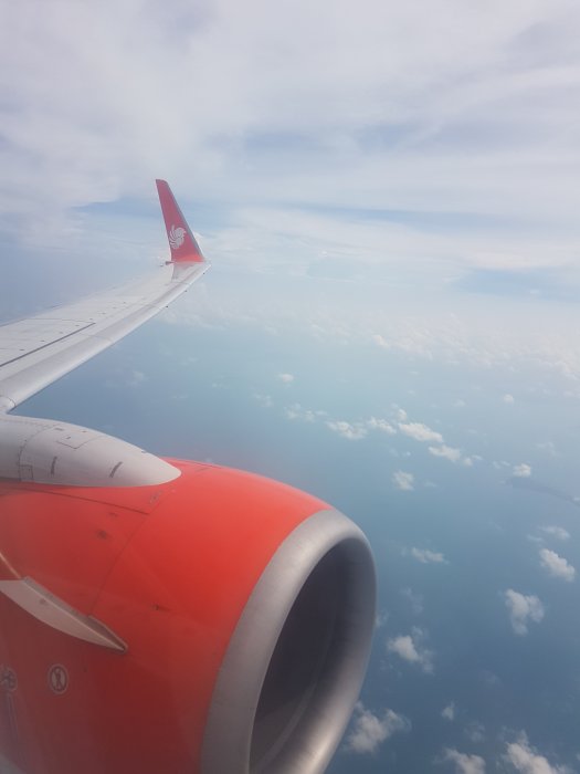 20181005_103247.jpg
