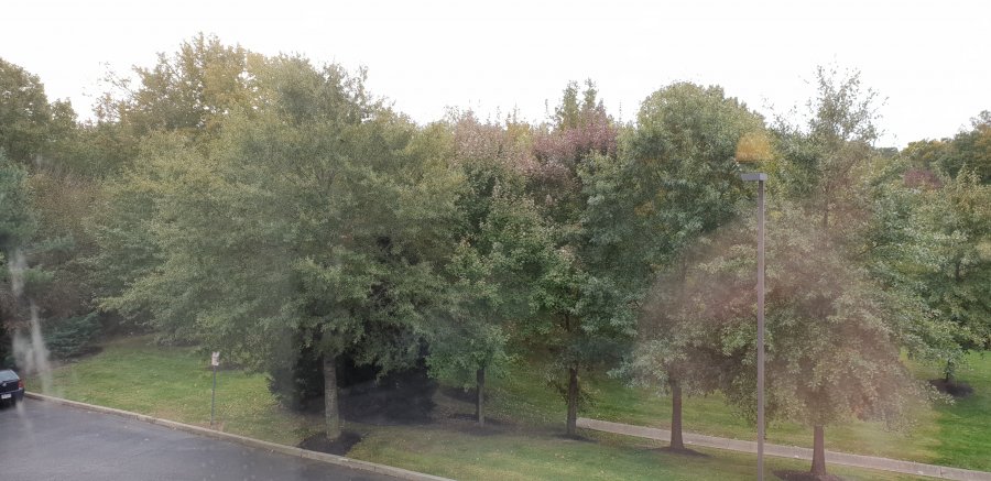20181026_100945.jpg
