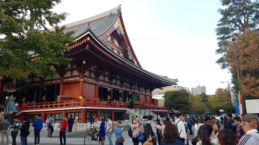 20181028_155433.jpg