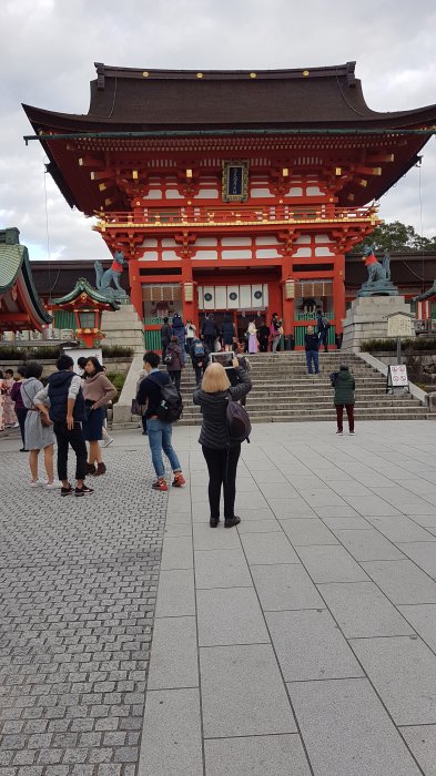 20181101_152816.jpg