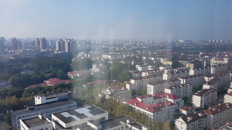 20181104_083002.jpg