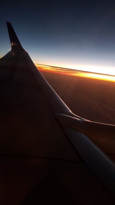 20181120_080331.jpg