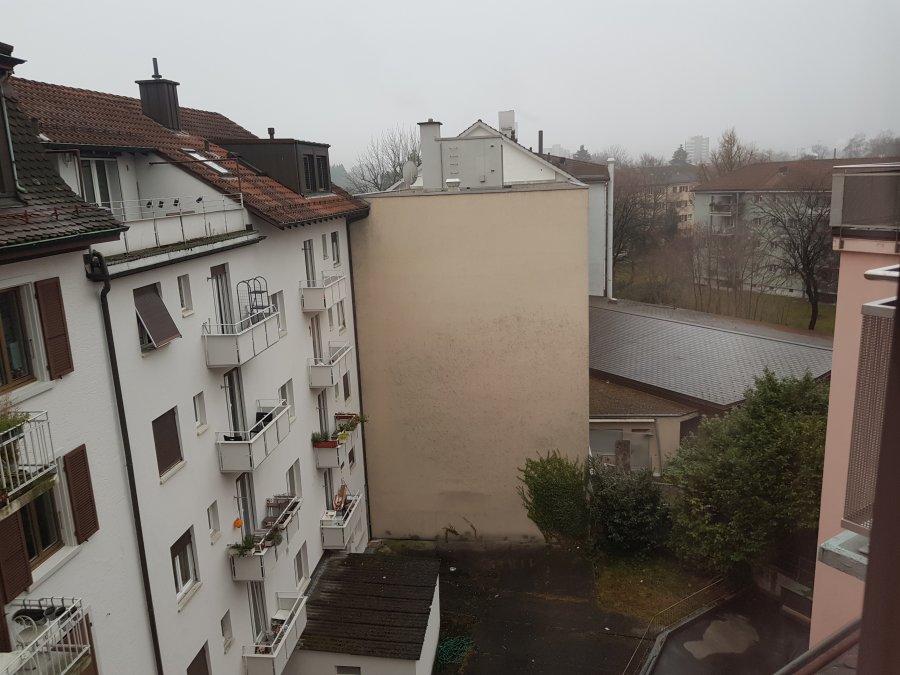 20190202_083307.jpg
