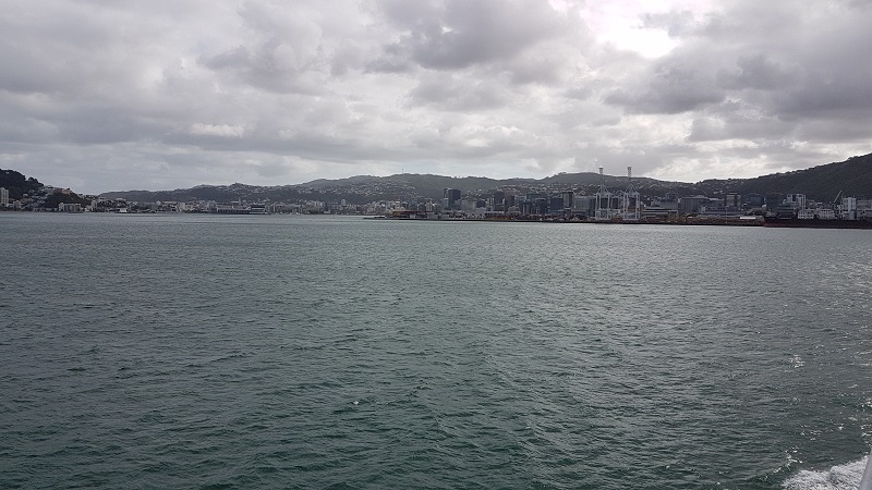 20190216_173215.jpg