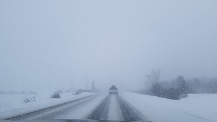20190222_135741.jpg