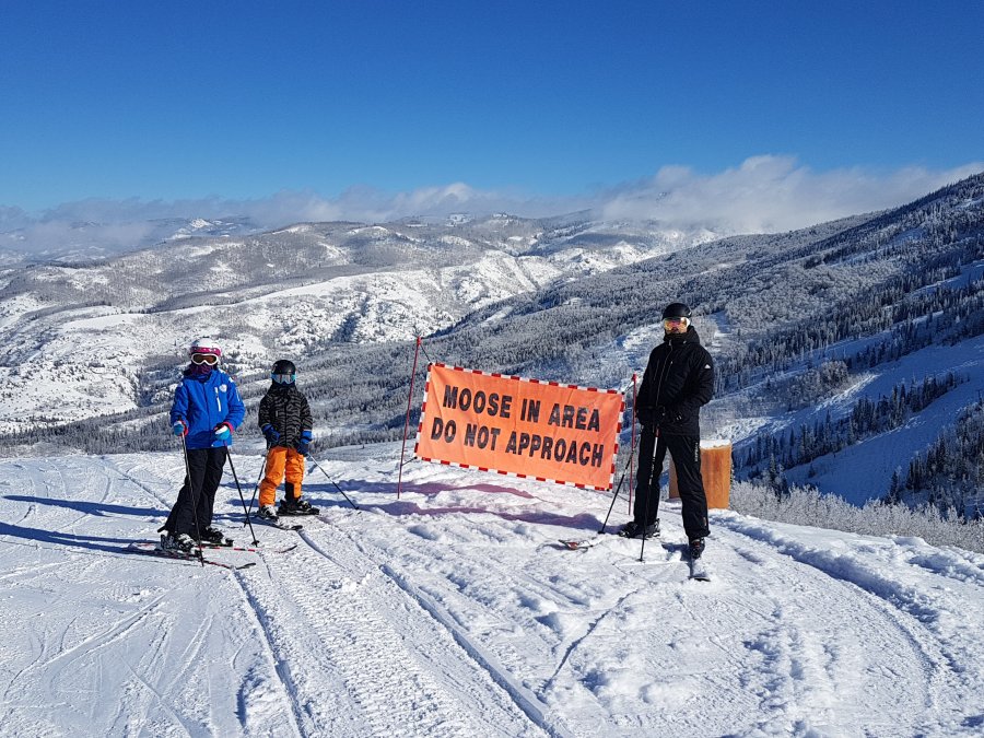 20190223_092157.jpg