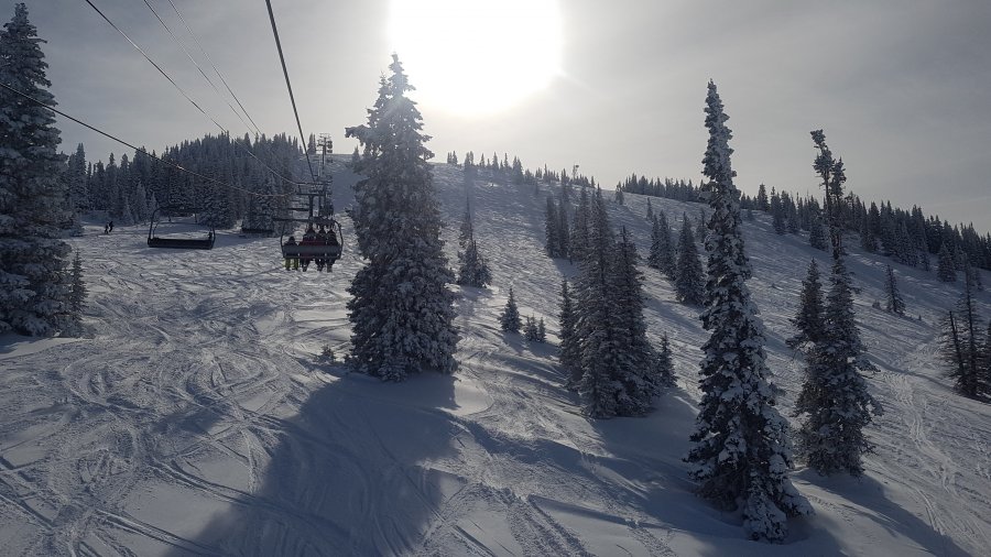 20190224_093747.jpg