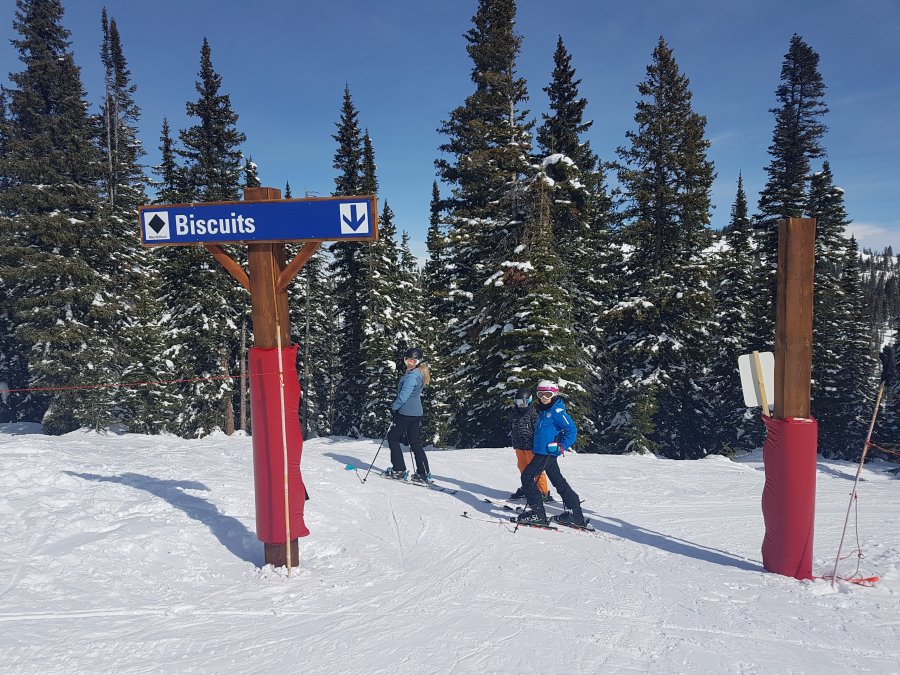 20190226_110047.jpg