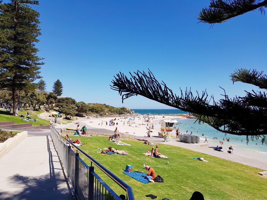 20190303_233131.jpg