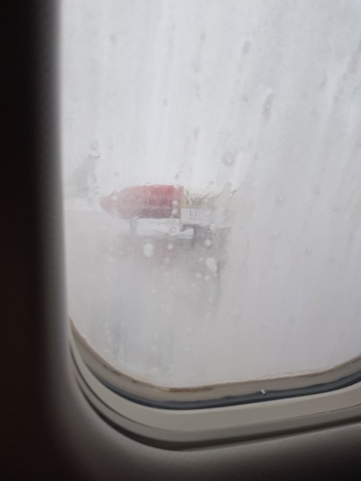 20190309_142829.jpg