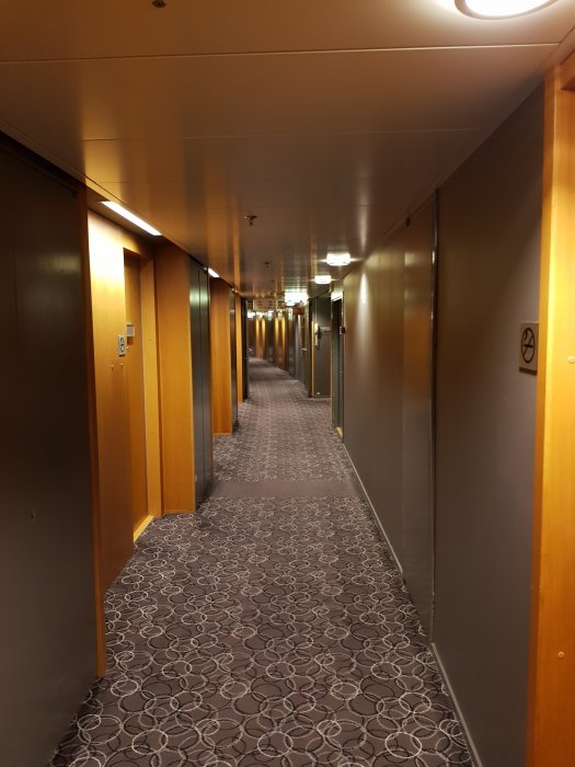 20190322_200542.jpg