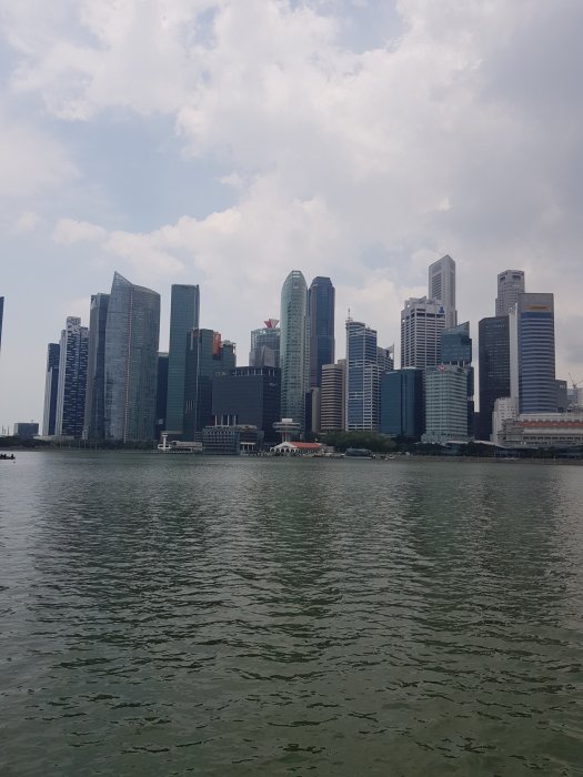 20190324_125950.jpg