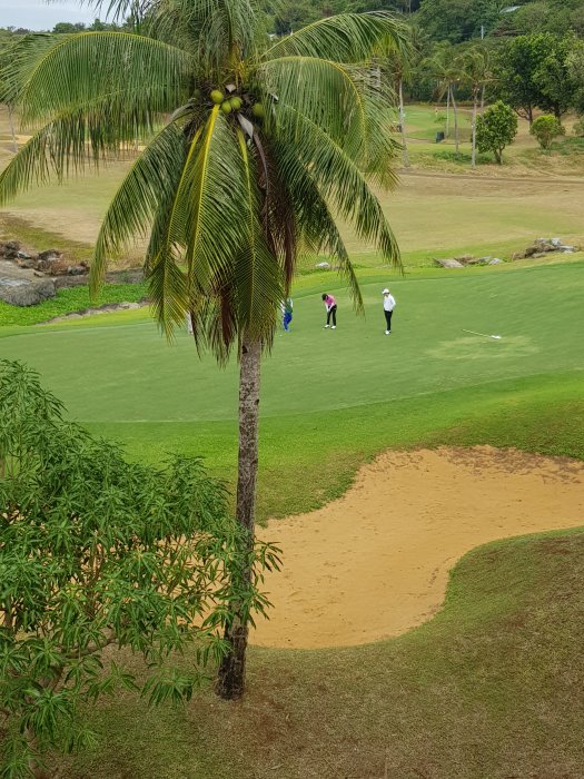 20190327_093411.jpg