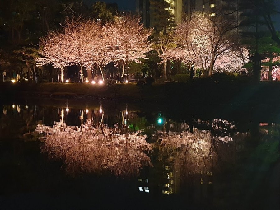 20190330_193654.jpg
