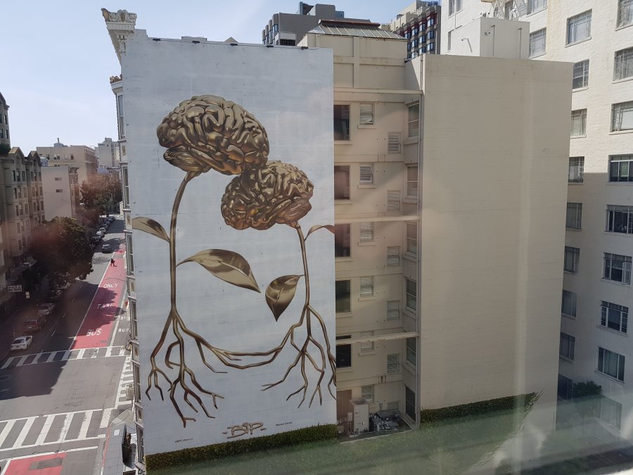 20190407_144554.jpg