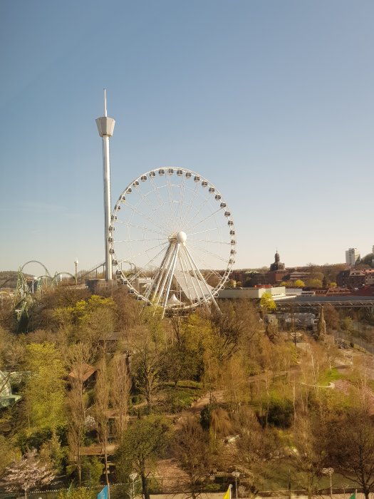20190420_170536.jpg