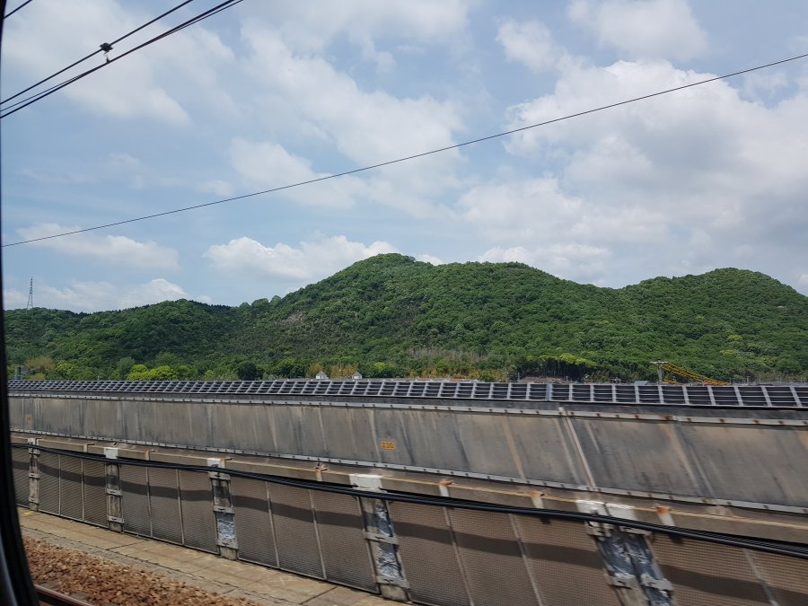 20190515_114806_008_saved.jpg