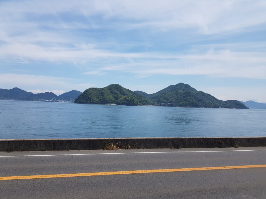 20190515_132315.jpg