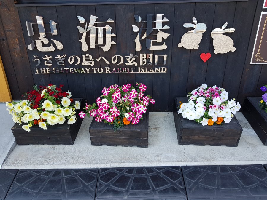 20190515_134949.jpg