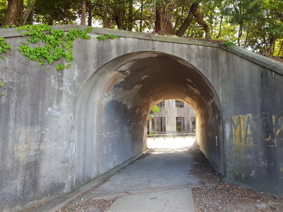 20190515_145053.jpg