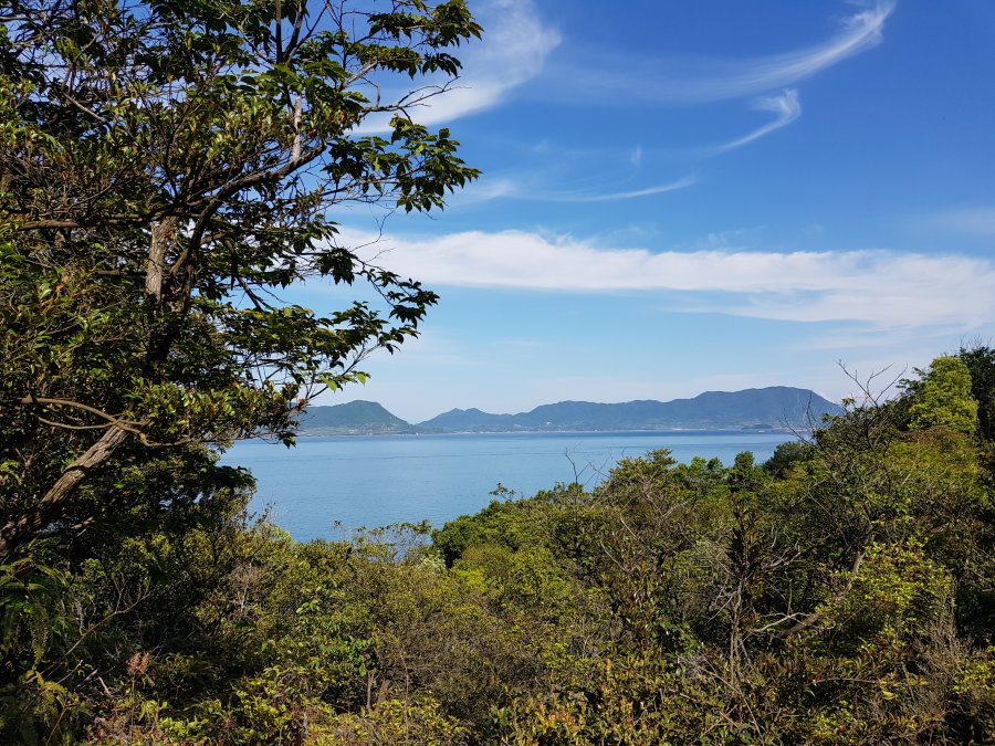 20190515_151358.jpg