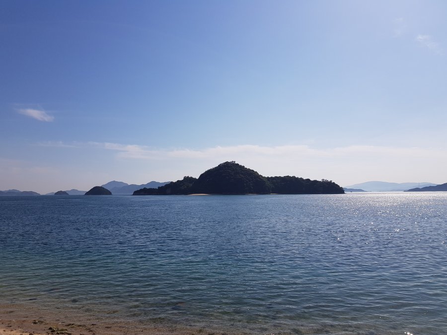 20190515_154025.jpg