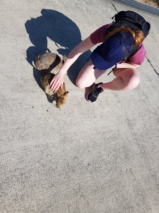 20190515_154813.jpg
