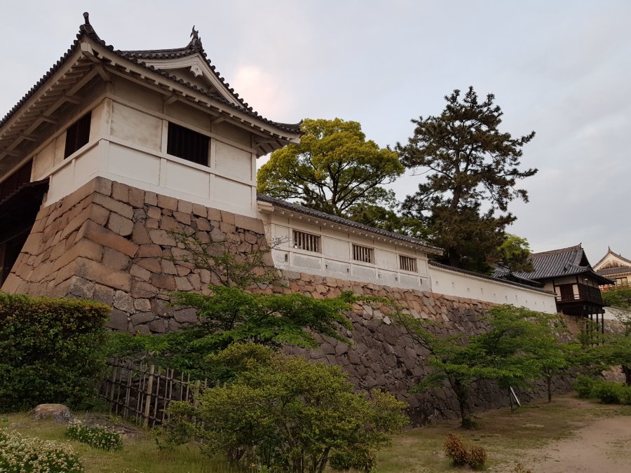 20190515_185547.jpg