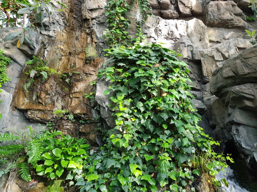 20190517_165521.jpg