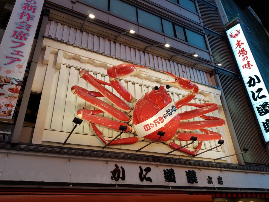 20190517_203519.jpg