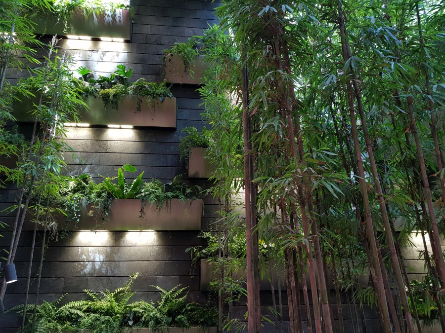20190524_110805.jpg