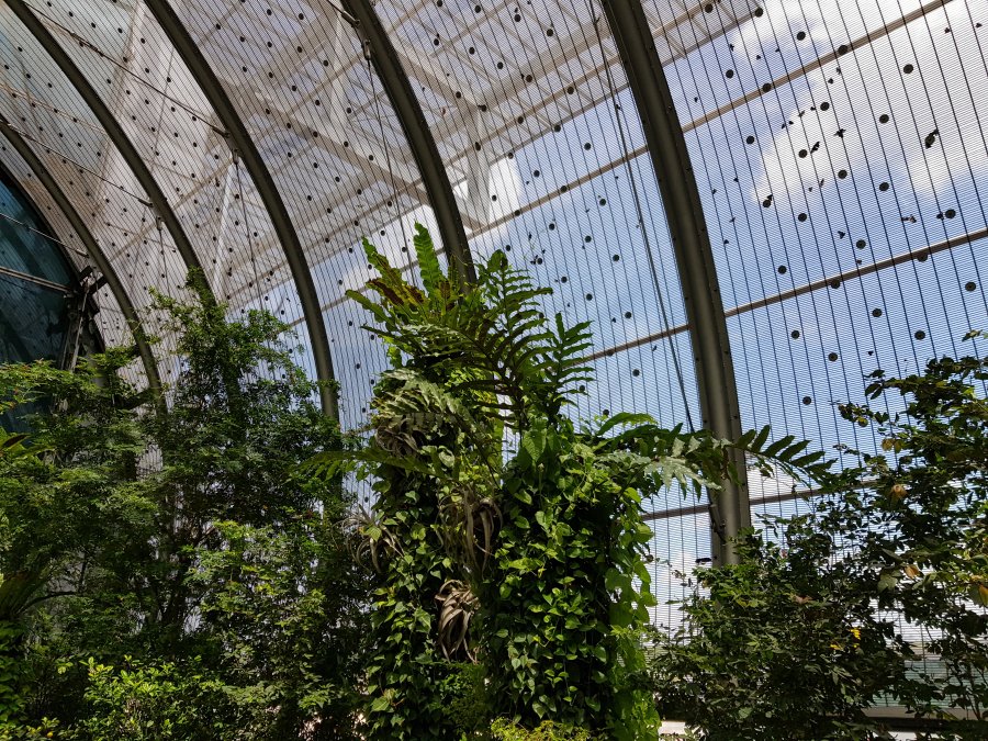 20190524_120249.jpg