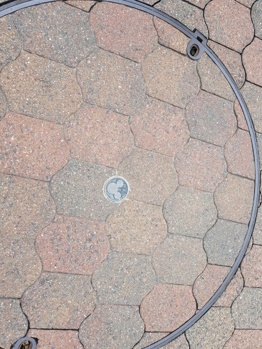 20190530_101535.jpg