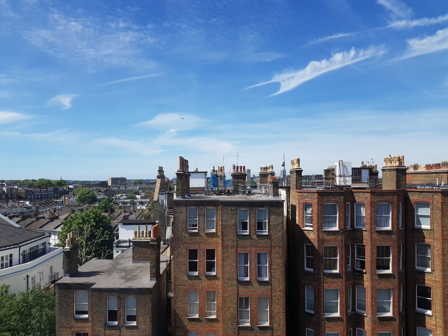 20190601_112659.jpg