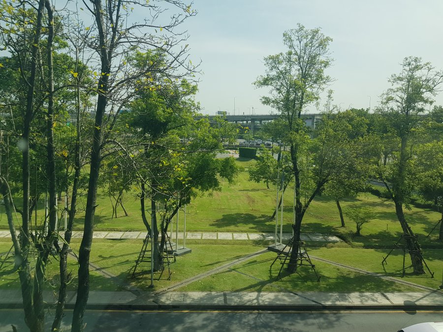 20190713_094005.jpg