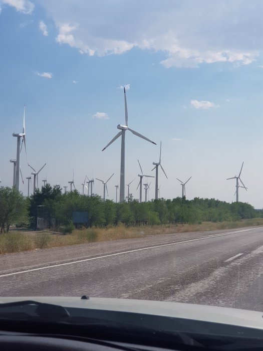 20190720_163022.jpg