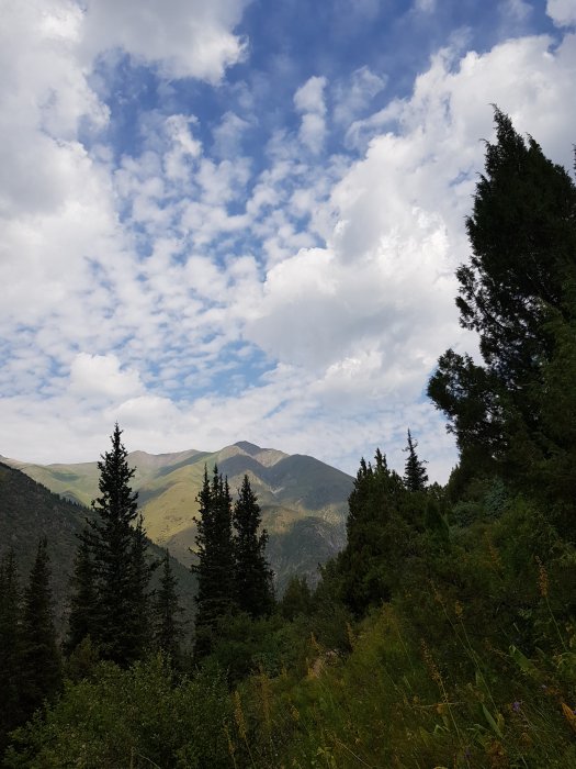 20190721_095751.jpg