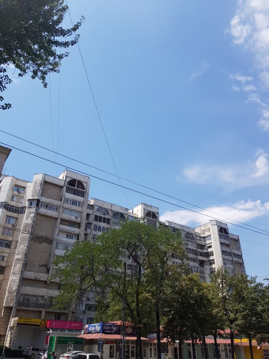 20190721_134306.jpg