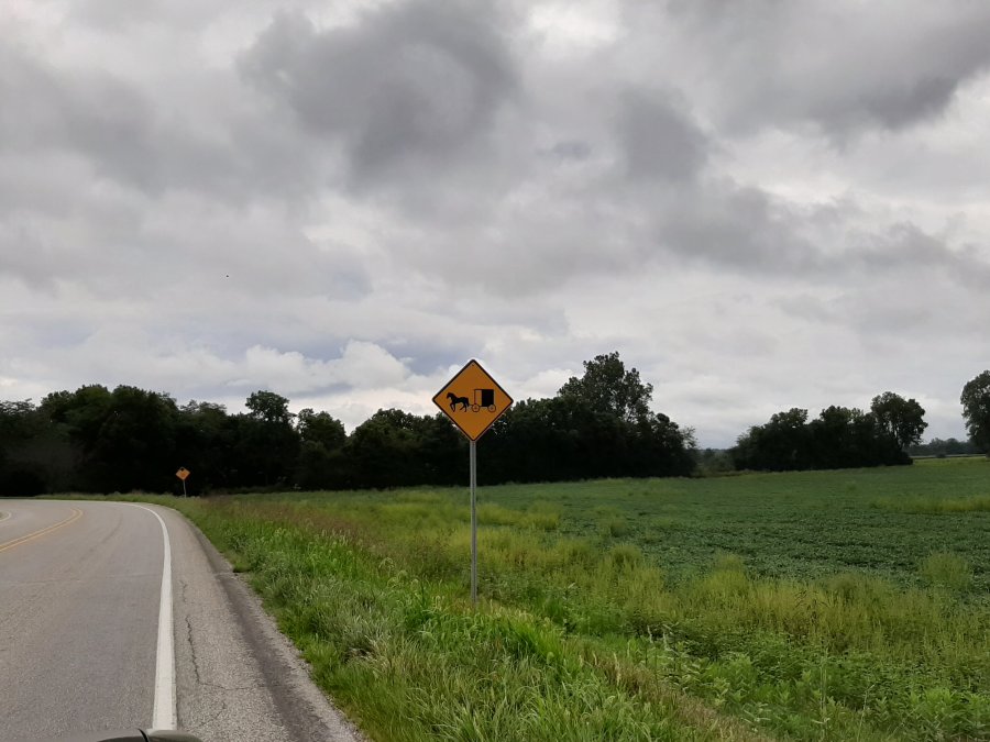 20190822_130442.jpg