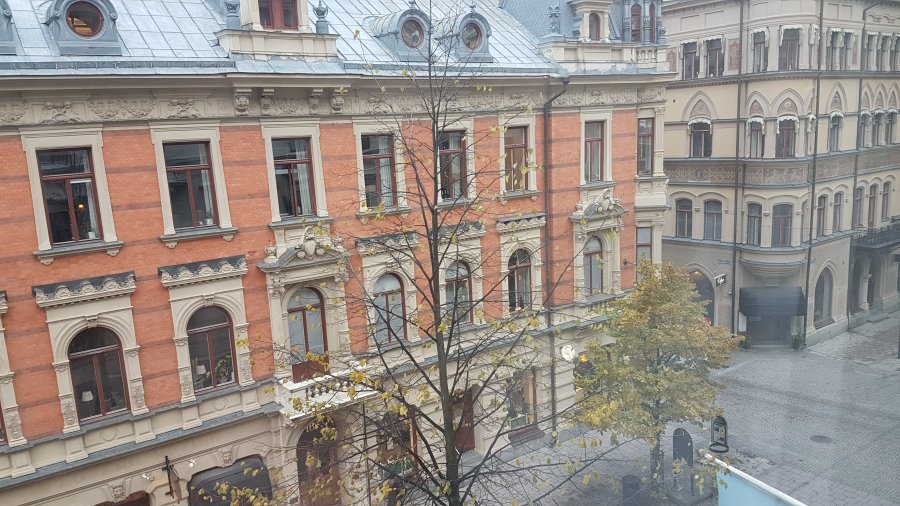 20191017_160854.jpg
