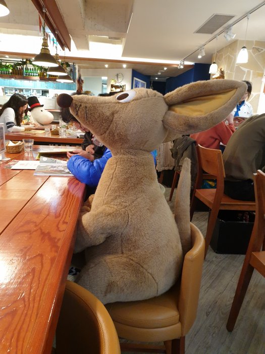 20191229_143831.jpg