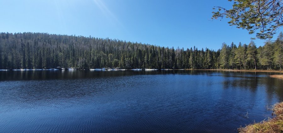 20200522_122259.jpg